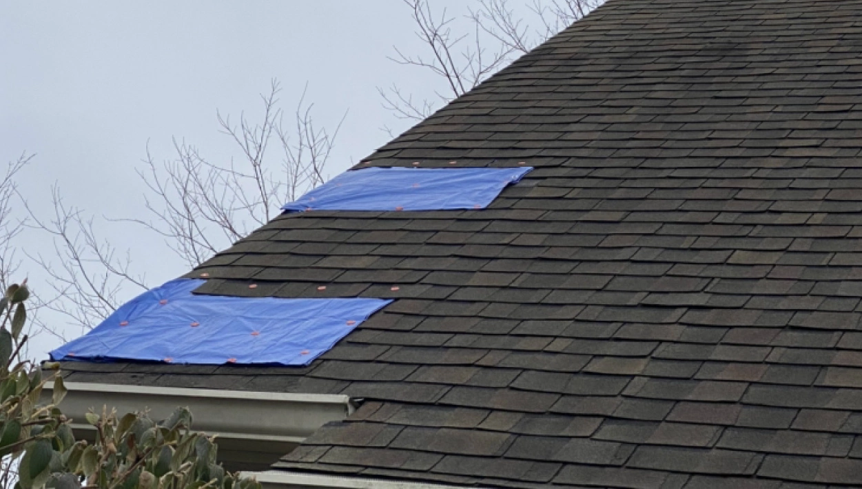 Roof Repairs in Bound Brook: Don’t Delay Repairing Your Roof